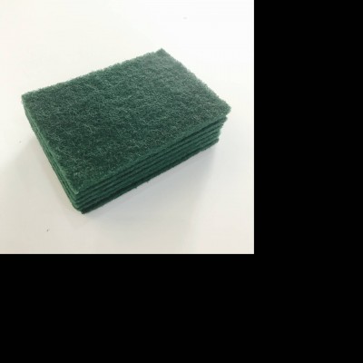 Green Kitchen Scouring Pad